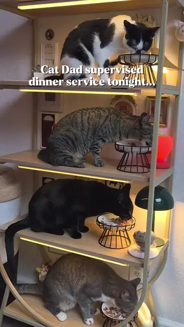 I miss ONE dinner service and suddenly the tenants forget their assigned apartme