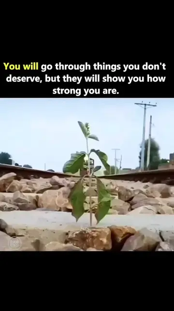you will go through things you don't deserve but they will shoe you how strong y