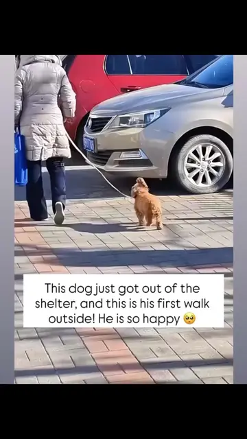 There is standard, ordinary magic, and then there is the pure, unfiltered joy of