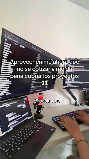 Necesitas ayuda con tus proyectos? Escríbeme #developer #baskadev #java #frerlan