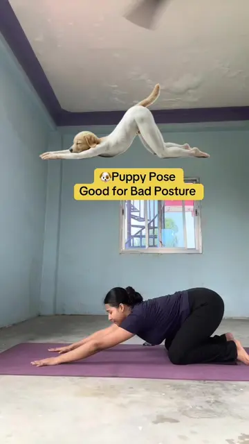 Turn your favorite animals into your yoga inspiration! 🐾🧘‍♀️ These 11 animal-i