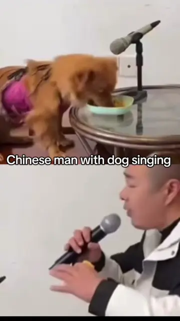 Chinese man with dog singing #chinese #dog #singingduet #funny#fyp  