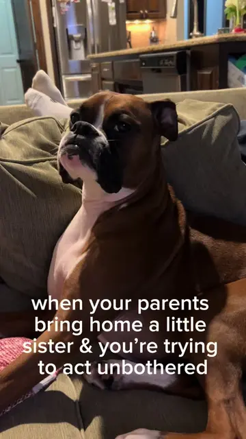 Lily coming to the realization that she was no longer going to be an only child 