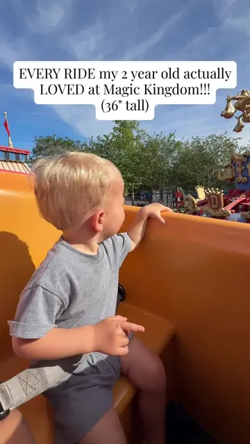 ❣️The Barnstormer (35") ❣️Dumbo the Flying Elephant ❣️"it's a small world" ❣️Jun