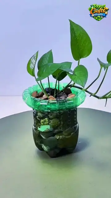 🚨😱 STOP! DON’T THROW THAT PLASTIC BOTTLE AWAY! ♻️🥤 ✨ WAIT UNTIL YOU SEE THIS 