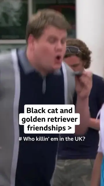 James Corden & Sheridan Smith an unbeatable combo 🐈‍⬛🐕 Gavin & Stacey: What's 