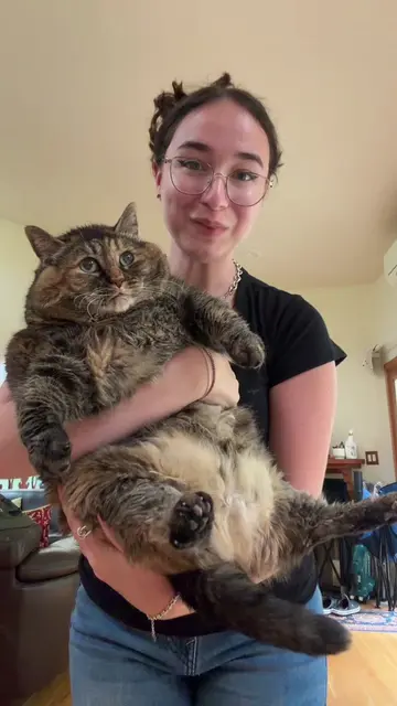 Her little meow😭😭♥️ #fyp #catsoftiktok #chonkycat #kittycat #viral 