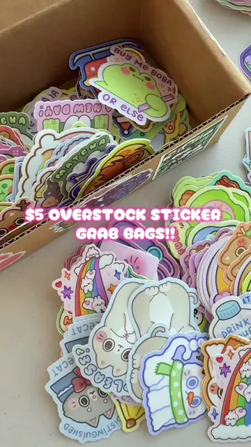 Oops bags have been restocked and are super discounted as part of TikTok shop’s 