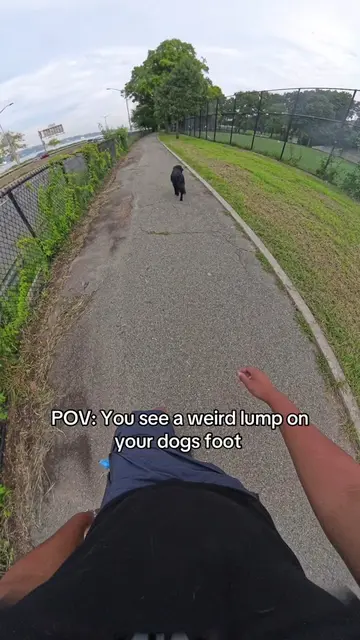 i’m so glad he’s so cooperative 😭 #dog #dogs #dogvideo #dogvideos #DogTraining 