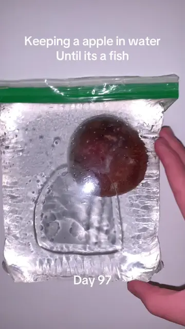 #viralchallenge #pleasedontflop #sciencefun #appleexperiment #appleinwater 