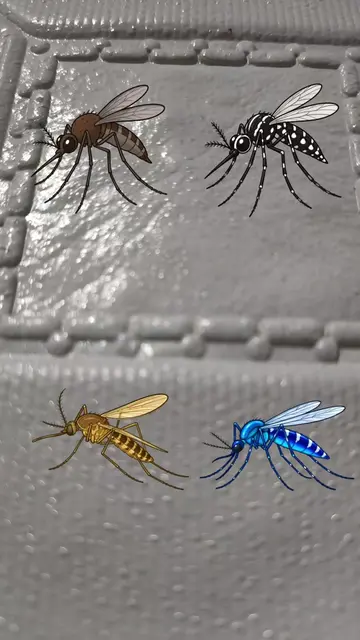 #filter #fypシ #mosquitocoilmatch 