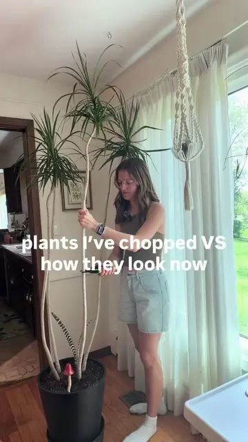Who else feels the same way? If you like propagation you’ll like it here on my p