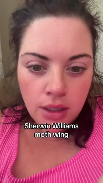 #sherwinwilliams #mothwing #sherwinwilliamsmothwing #neutral #tricornblack 