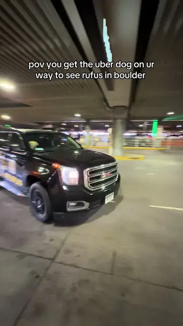 highlight of the concert @The Uber Dog #rufusdusol #boulder #uber #uberdog #fyp 