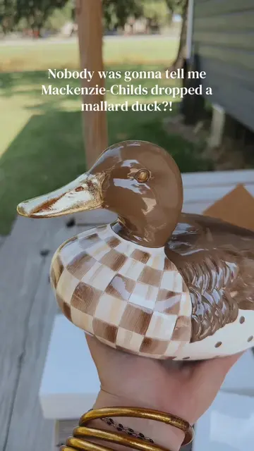 Mallard + Mackenzie-Childs = My dream combo 🦆🤎✨ #shopmy #mackenziechilds #mall
