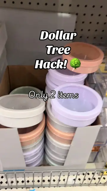 Dollar tree hack! This is great for remembering to take vitamins or anything els