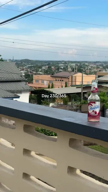 Day 230 #dailyvlog #day230