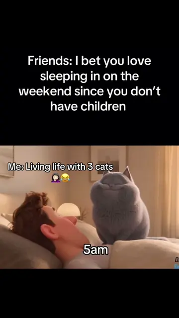 Sleeping In….Never Heard Of It! 🤪😂🐈 Y’all have no doubt these little furbabie
