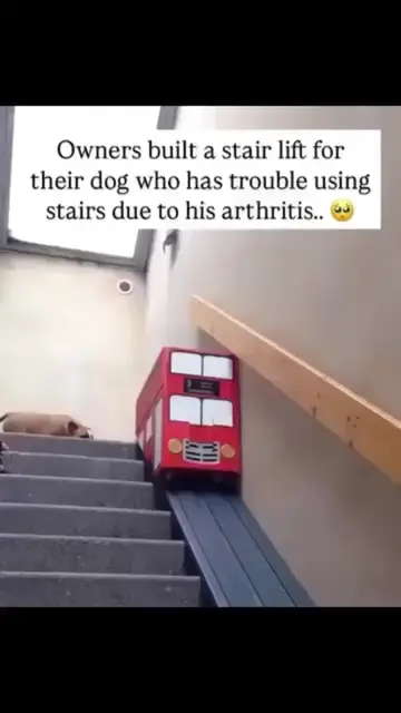He couldn’t use the stairs anymore… Every step had become a struggle. So his own