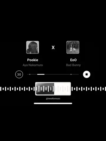 Pookie X EoO | dm for song promo📩 #fyp #badbunny #spotifymix #song #vibes 