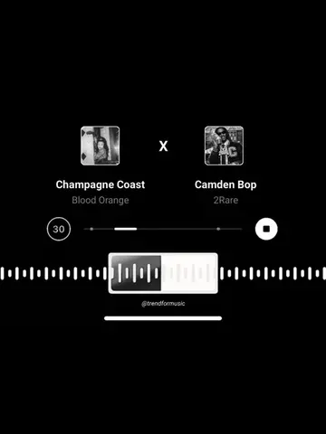 Champagne Coast X Camden Bop | dm for song promo📩 #fyp #bloodorange #spotifymix