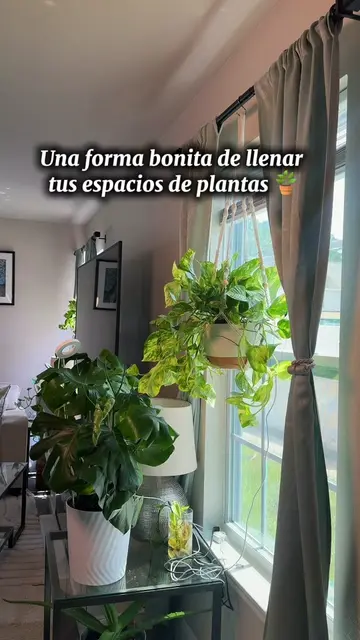 Mis nuevas maceteras colgantes 😍🌿 Vienen 3 tamaños y puedes colocarlas en vent