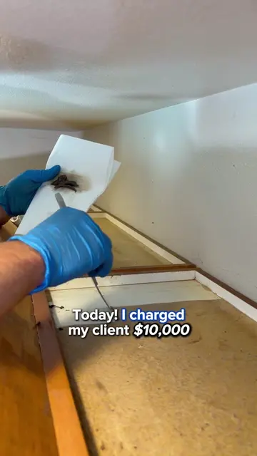 I charged this client $10k to deep clean their house and here is exactly what th
