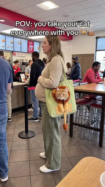 It’s his favorite part of the day🐈👜 #catmom #cat #totebag #viral #fyp 