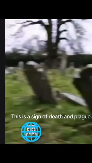 #Prophecy 