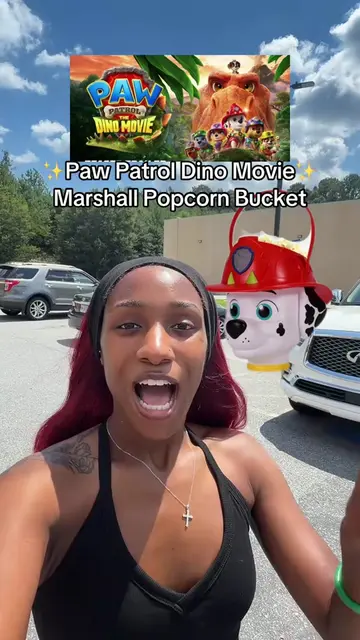 I did not think that these paw patrol Dino Marshall popcorn buckets were going t