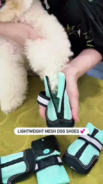 My dog finally has summer shoes that don’t come flying off after three steps. 😂