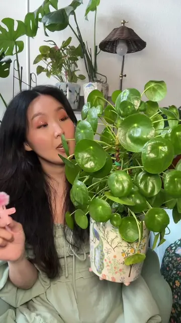 Overwatering is so much more harmful than bad lighting. Please listen to your pi