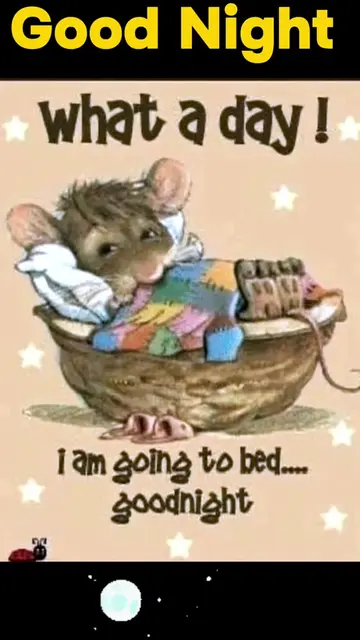 Goodnight Friends and Fsmily. Sleep peacefully and well. #friends #peace #goodni