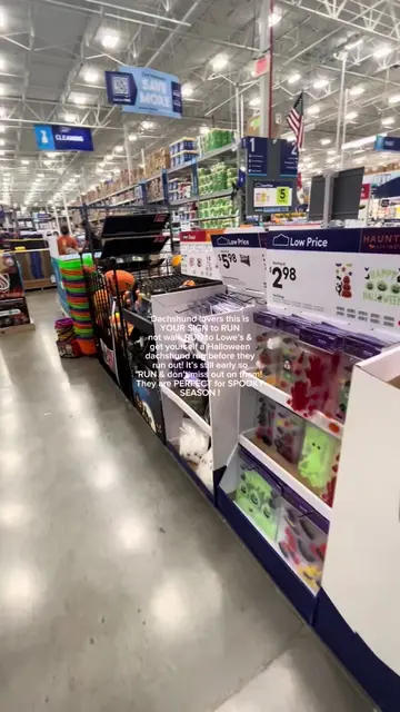 CALLING ALL DACHSHUND LOVERSSS, RUN TO @Lowe’s! Get ready for Halloween with thi