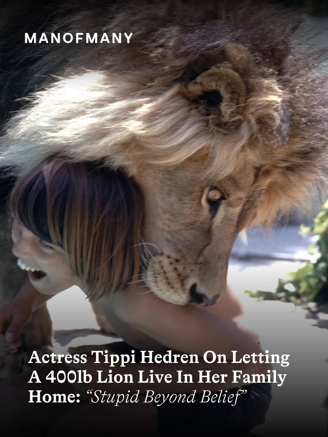 The lion lived in the house. In 1971, LIFE photographer Michael Rougier spent ti