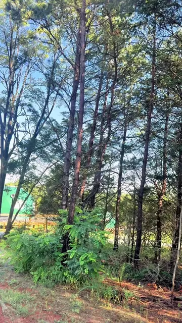OMG…what a blast!!!! Who says you need a tent or RV to sleep in nature??@Pilot M