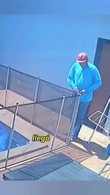 Repairmen rescue dog that fell into water#animals #Foryou #Friendship #Us #fyp