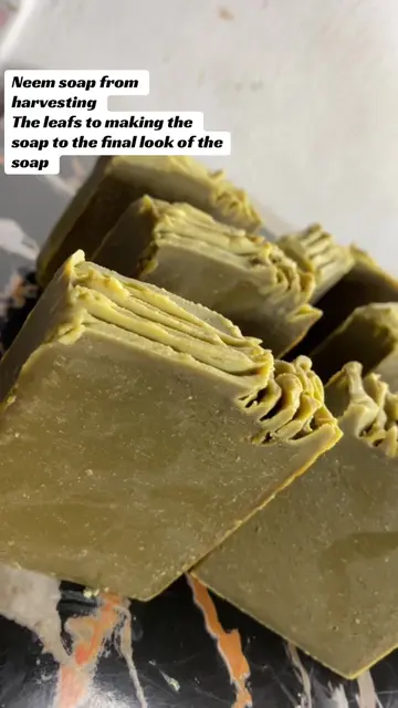 Neem is known for its skin benefits in treating lots of skin issues like eczema 