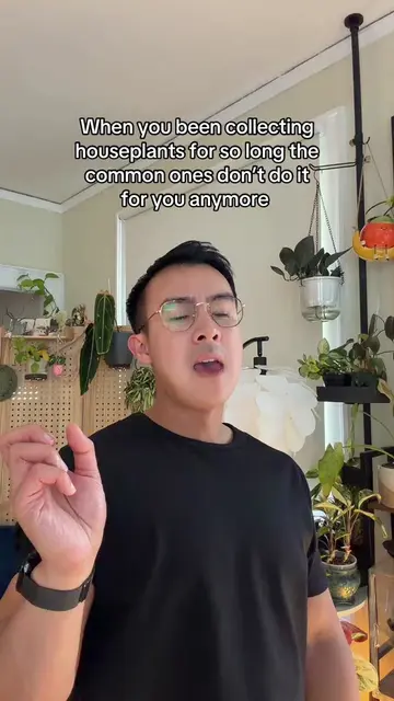 Basic plants deserve love too but not just my love anymore #planttiktok #greensc