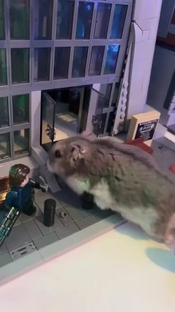He loves his new home! #lego #avengers #legomarvelsuperheroes #funny #hamster