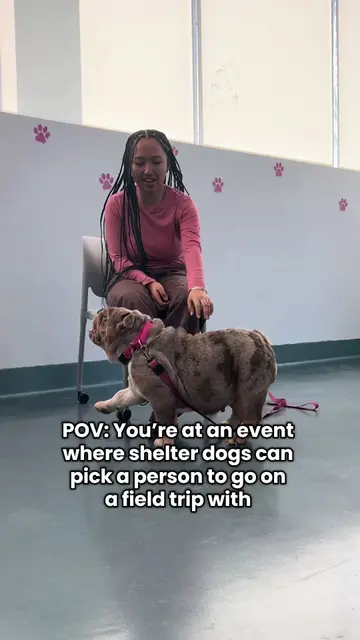 Join us for another round of Love at First Wag: Boroughbreak Edition!  📍 Queens