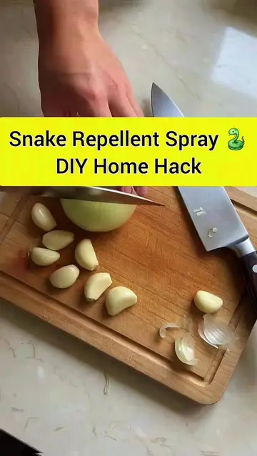 🐍🚫 Snake season? Try this simple DIY repellent! 🌿✨ Easy to make and worth a t