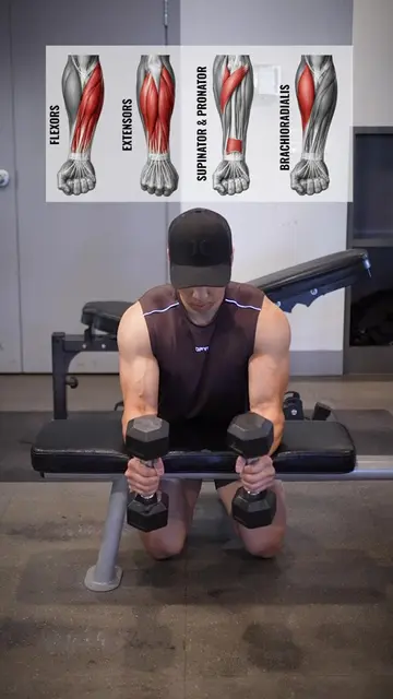 Complete Forearm Workout 1. Wrist Curl — targets the wrist flexors 2. Wrist Exte