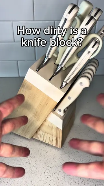How dirty is a knife block? #Science #scienceexperiments #scienceathome #cooking