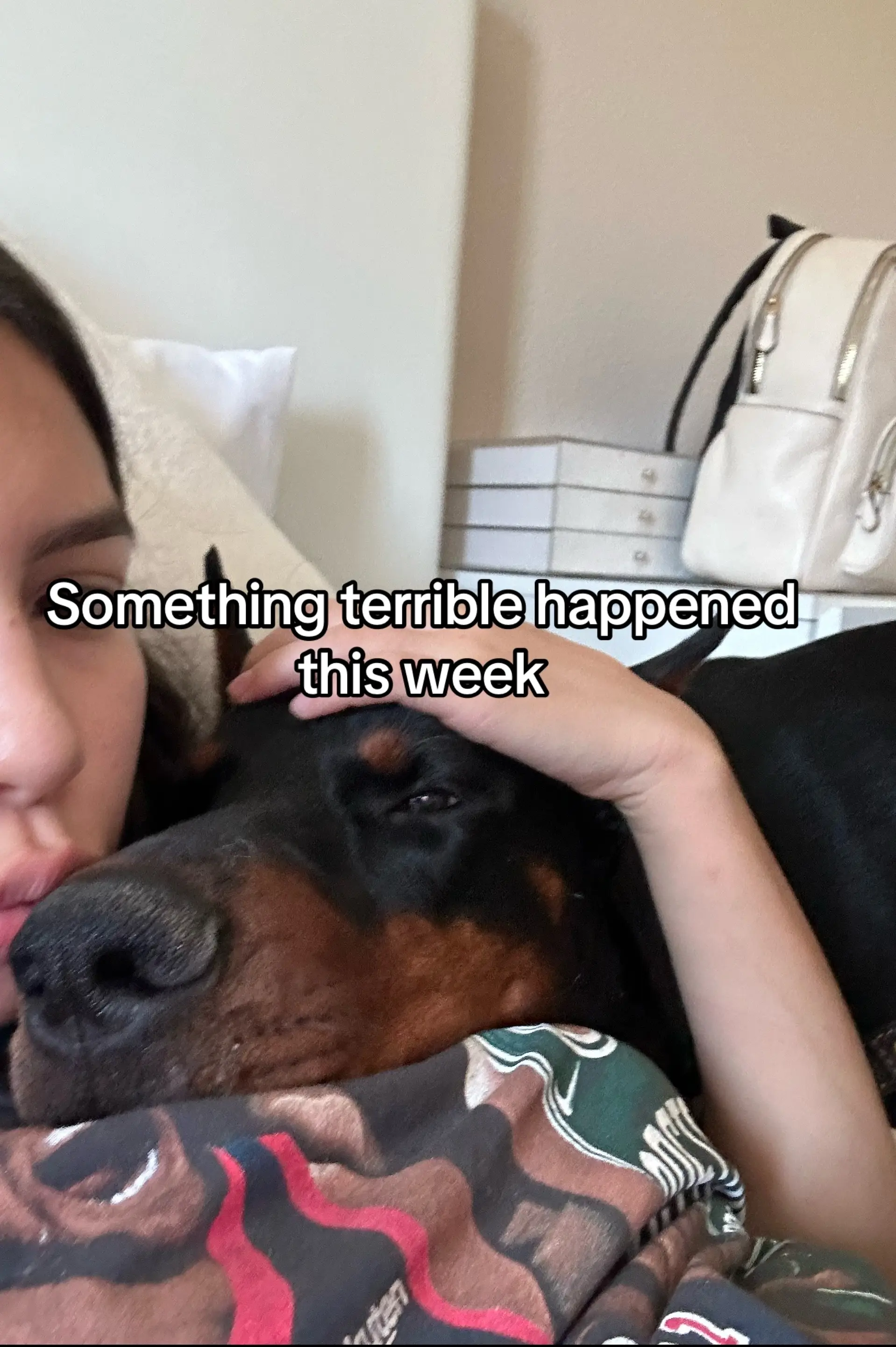 Can’t believe this happened to my boy 😞  . . #dogtok #doberman #dogmom #spider 