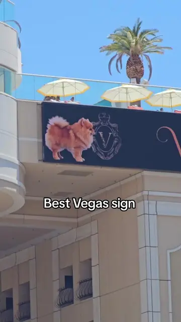 The Vanderpump Hotel in Las Vegas has some of the best signs on the strip! #Lisa
