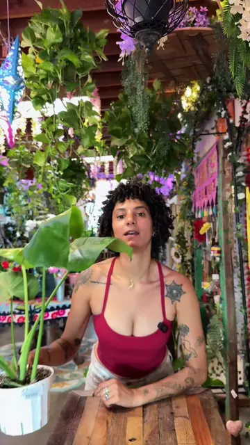Some tips to help you get the BEST out of your Monstera 🌱 Leave me your plant q