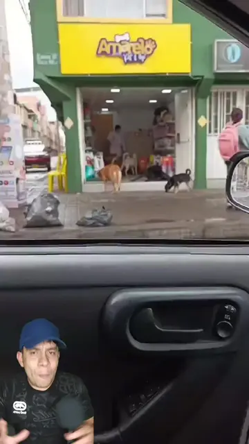 Una tienda de mascotas comparte alimento con perritos sin hogar cada mañana 🐶❤️