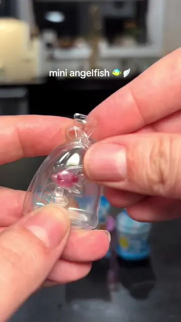 unboxing a mini angelfish 🐠  soooo adorable! 🥰 #mini #miniatures #cute #fish #