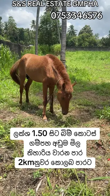 ඉක්මන් කරන්න අවසාන කොටස් කීපය #realestate #realestateagent #modernhome #housefor